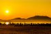 India and Green Investing