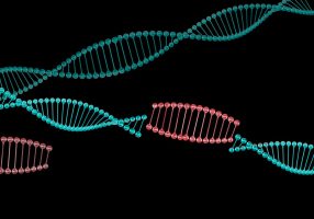 Jumping genes