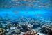 Marine Protected Area