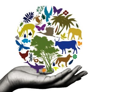 National Biodiversity Action Plan
