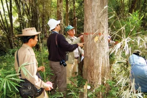 National Forest Certification Committee