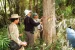 National Forest Certification Committee