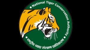 National Tiger Conservation Authority
