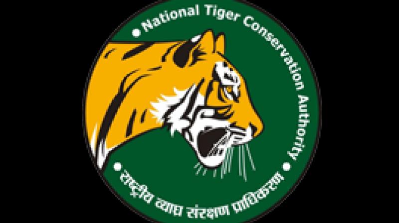 National Tiger Conservation Authority