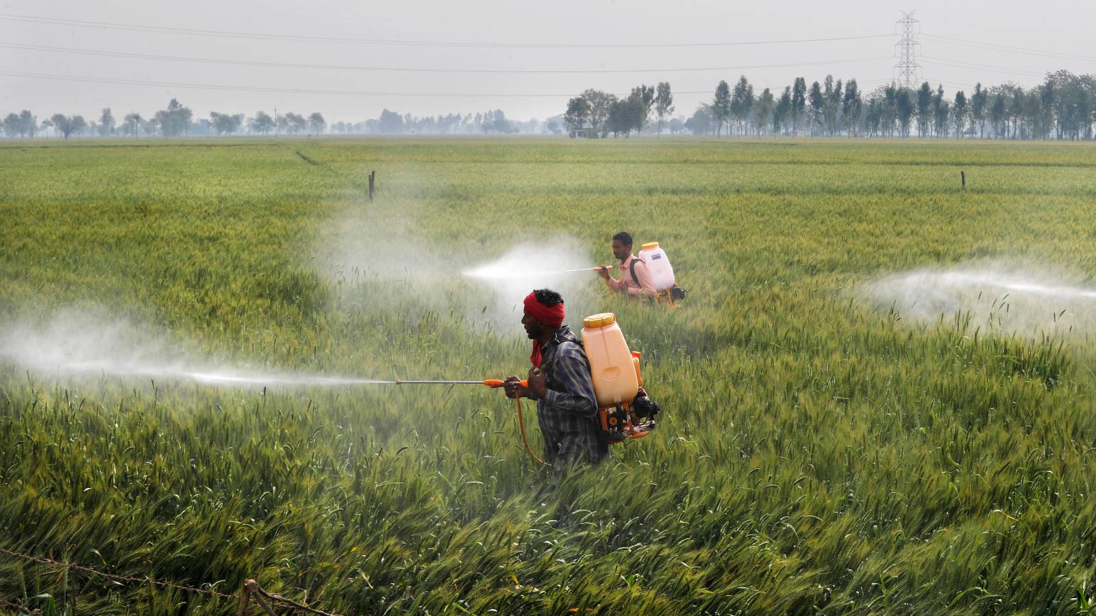 Pesticides