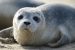 Wadden Sea Agreement