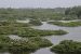 Wetlands of India