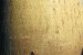 Ashoka Pillar Inscriptions on Taxation