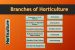 Branches of horticulture