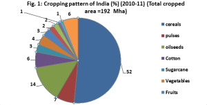 Crop production in India