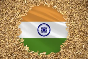 Food Grain Production in India Compared to the World