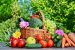 Horticultural Production