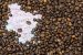 Indian Coffee Varieties