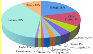 India’s Fruits Production