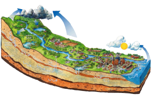 Integrated watershed management