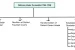 Judiciary Reforms of Cornwallis