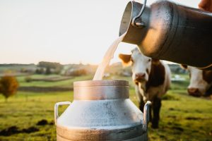 Milk production in India