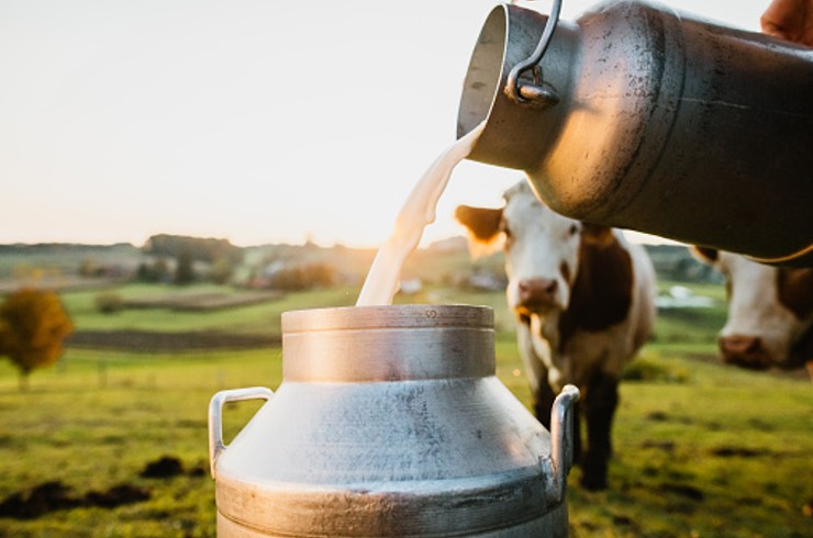 Milk production in India
