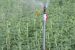 National Mission on Micro Irrigation