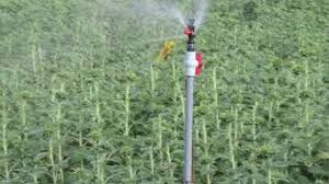 National Mission on Micro Irrigation