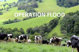 Operation Flood