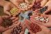 Seed Village Programme