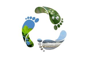 Water Footprinting