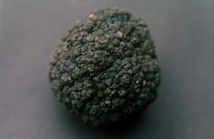 Polymetallic Modules (PMN) Composition