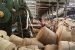 Jute Industry