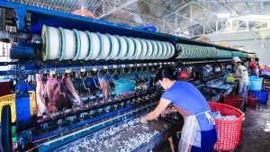 Silk production in India
