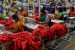 Textile Industry in India