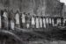 Chittagong Armory Raid