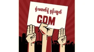 Civil Disobedience Movement Assessment