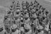 Second World War and Congress