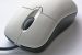 Computer Mouse