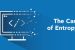 Software Entropy