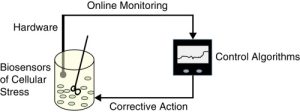Biosensors in Bioprocessing