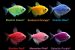 GloFish