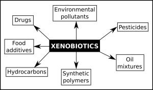 Xenobiotics