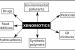 Xenobiotics