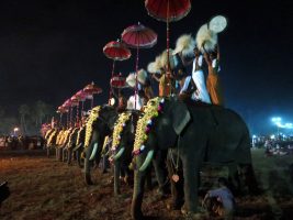 Aarattupuzha Pooram