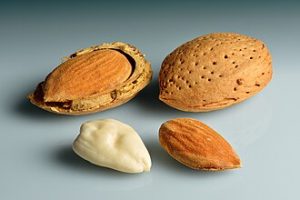 List of Top Almond-Producing Countries