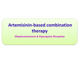 Artemisinin Combination Therapy