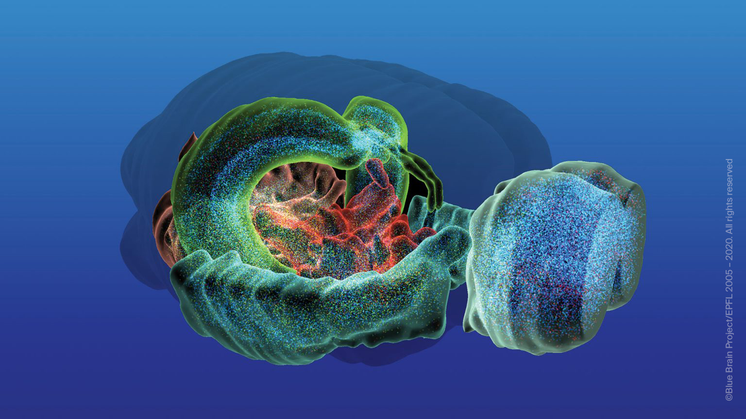 Blue Brain Project