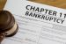 Chapter 11 (bankruptcy)