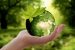EDF (Eco-Development Forces) Scheme