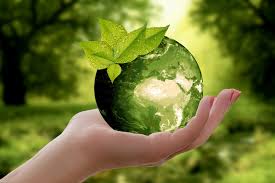 EDF (Eco-Development Forces) Scheme