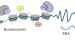 Epigenetics and Methylation
