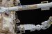 European Robotic Arm