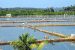 Freshwater Aquaculture in India